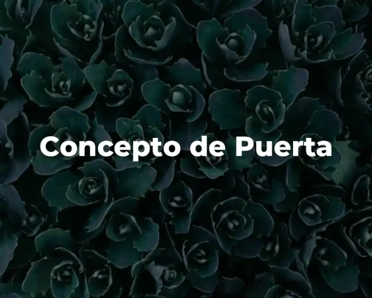 Concepto de Puerta