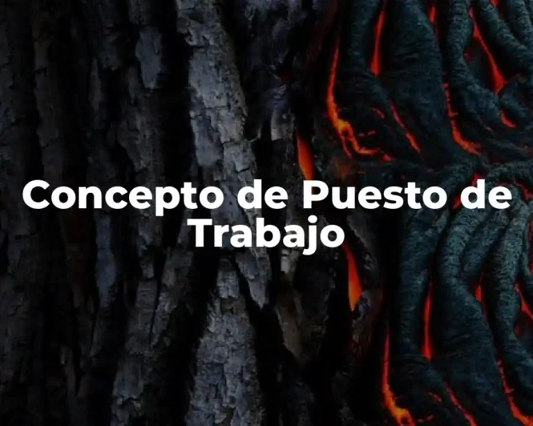 Concepto de Puesto de Trabajo