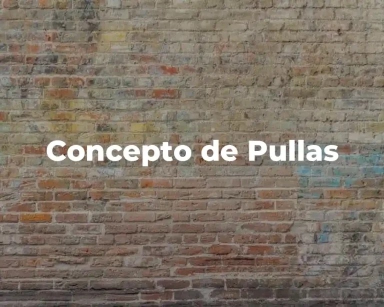 Concepto de Pullas