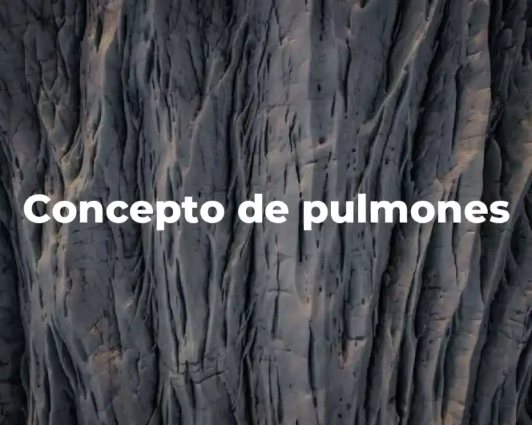 Concepto de pulmones