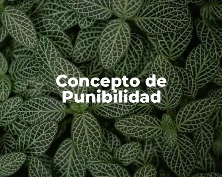 Concepto de Punibilidad