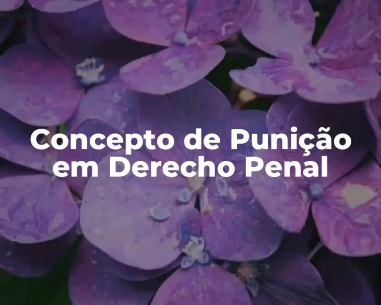 Concepto de Punição em Derecho Penal