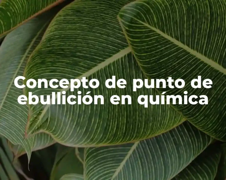 Concepto de punto de ebullición en química