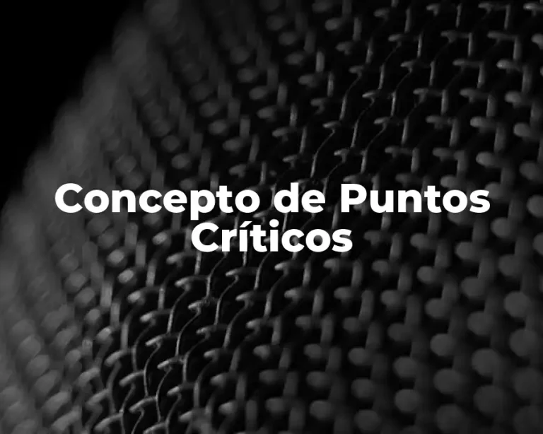 Concepto de Puntos Críticos