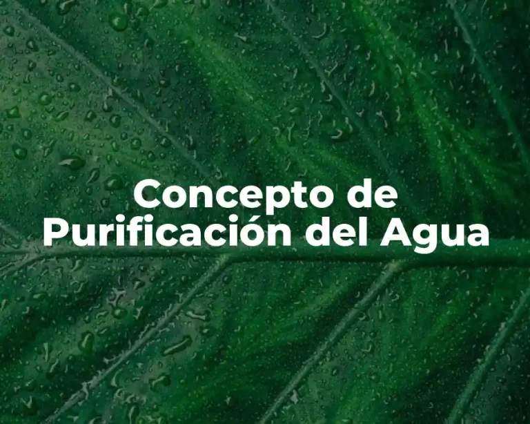 Concepto de Purificación del Agua
