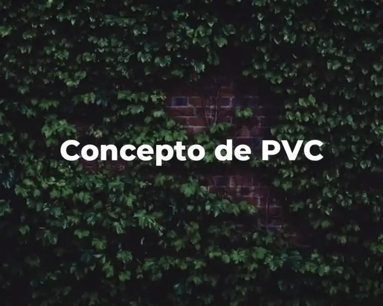 Concepto de PVC