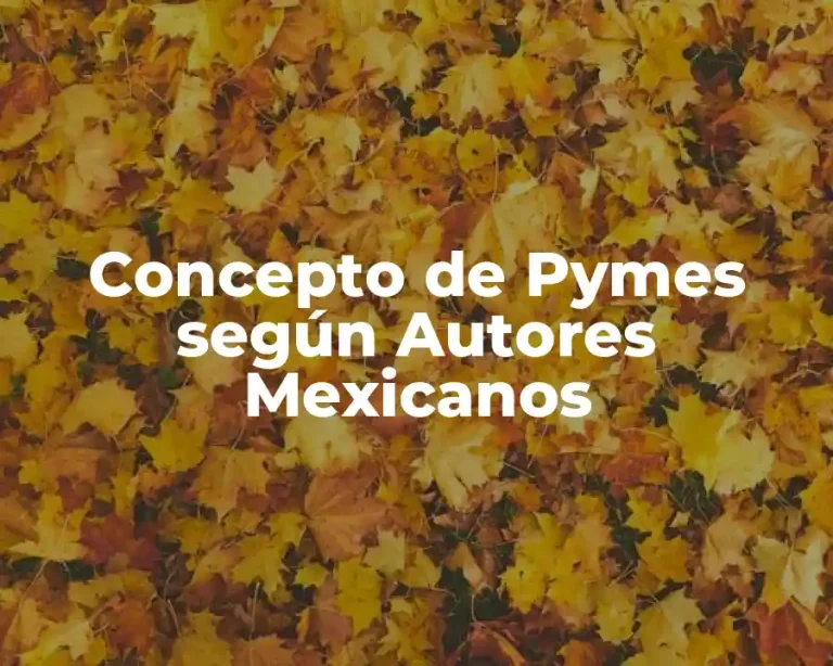 Concepto de Pymes según Autores Mexicanos