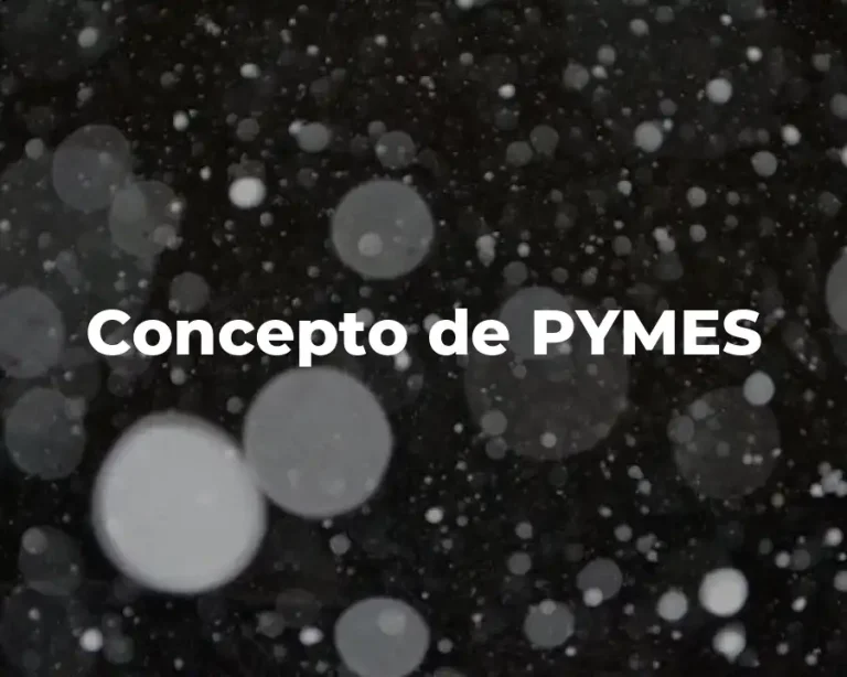 Concepto de PYMES