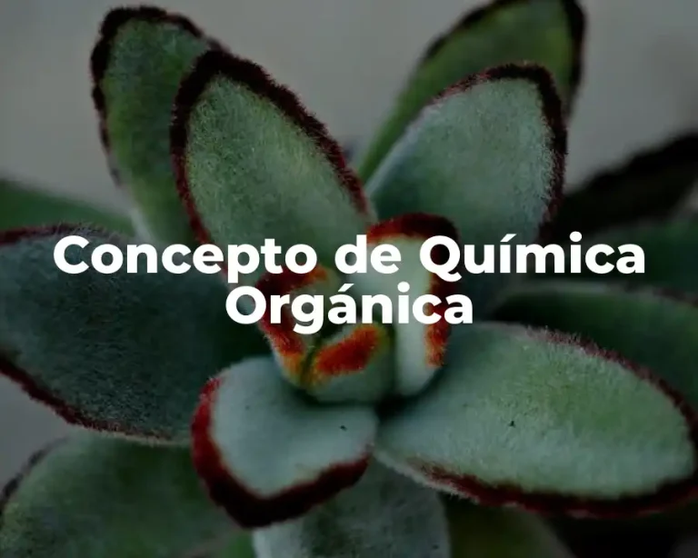 Concepto de Química Orgánica