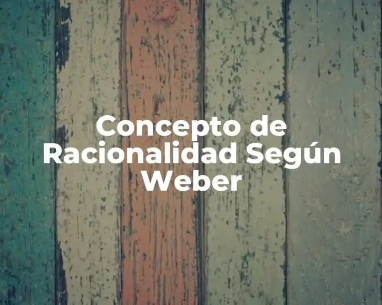 Concepto de Racionalidad Según Weber