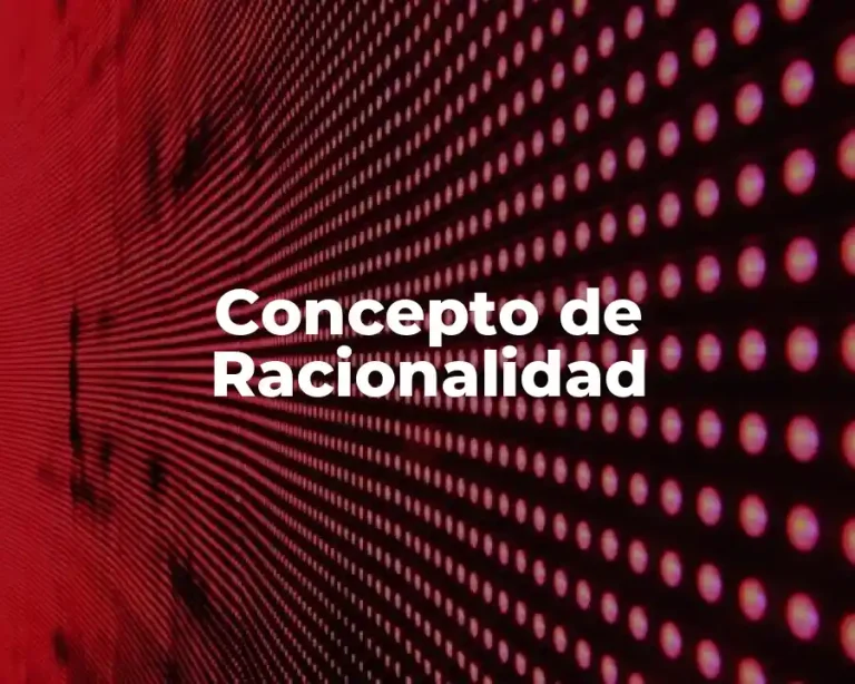 Concepto de Racionalidad