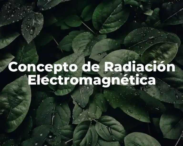 Concepto de Radiación Electromagnética
