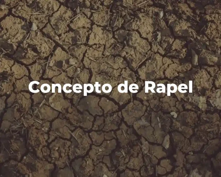 Concepto de Rapel