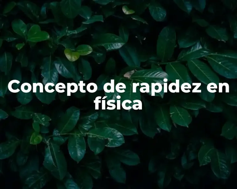 Concepto de Rapidez en Física