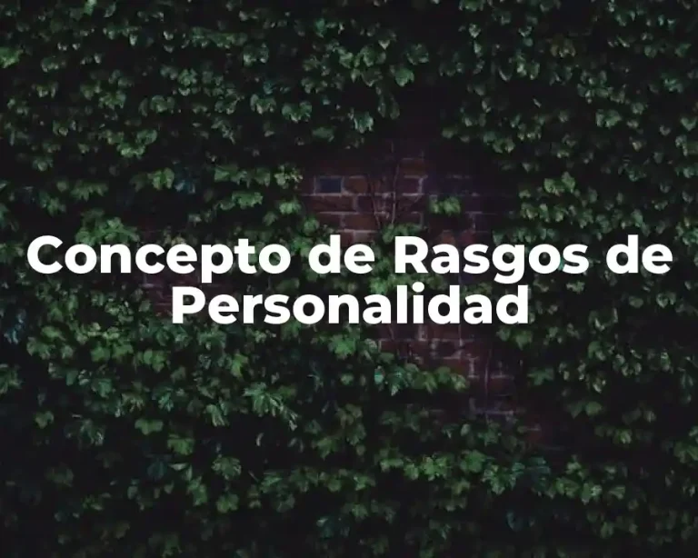 Concepto de Rasgos de Personalidad