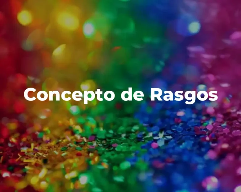 Concepto de Rasgos