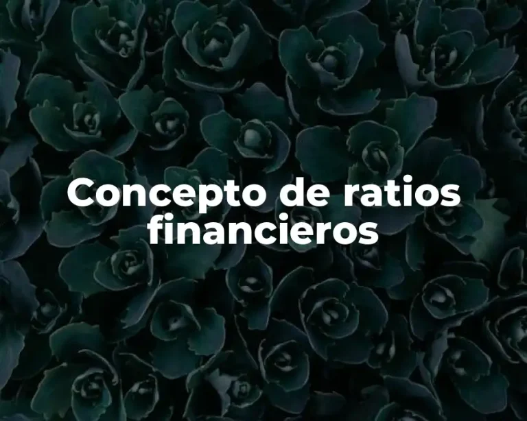 Concepto de ratios financieros