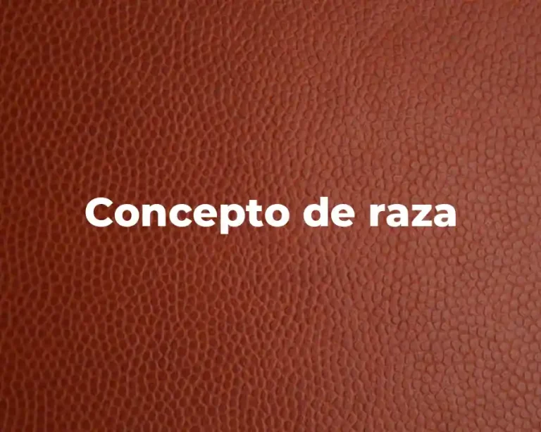 Concepto de raza