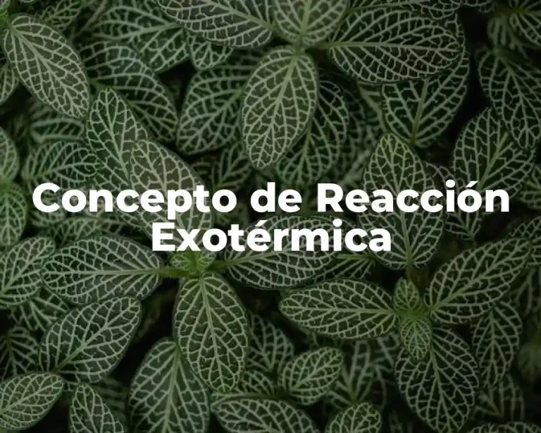 Concepto de Reacción Exotérmica