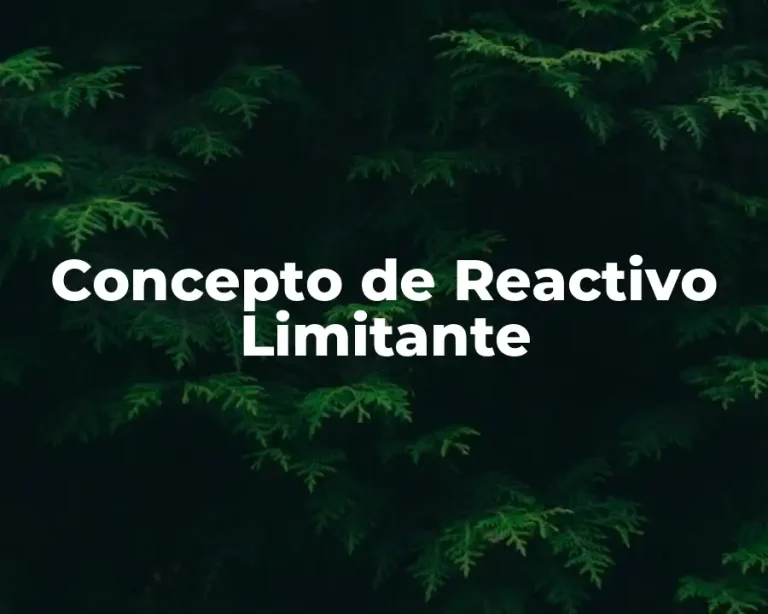 Concepto de Reactivo Limitante