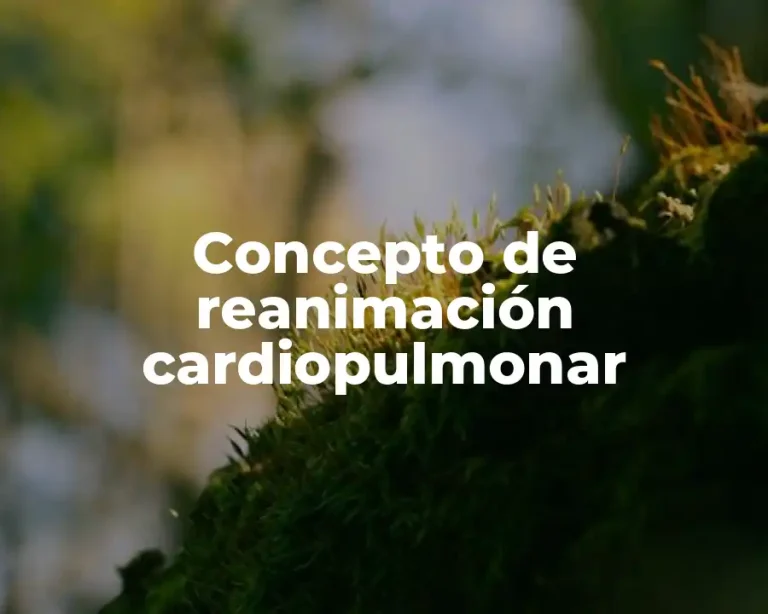 Concepto de reanimación cardiopulmonar