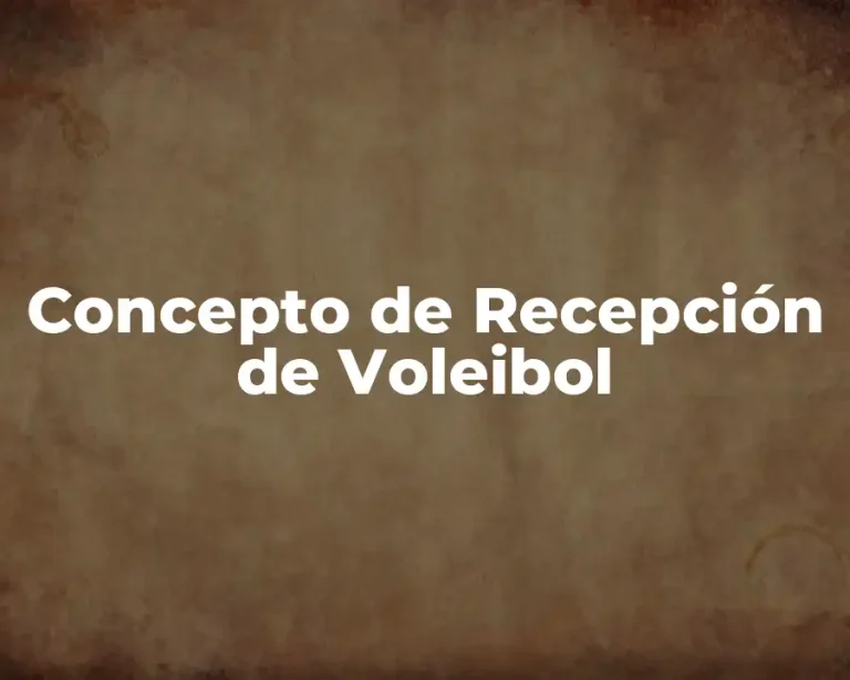 Concepto de Recepción de Voleibol