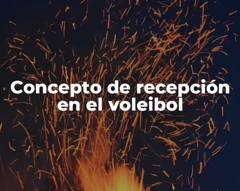 Concepto de recepción en el voleibol