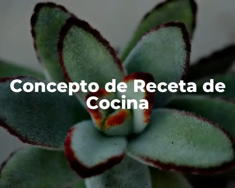 Concepto de Receta de Cocina
