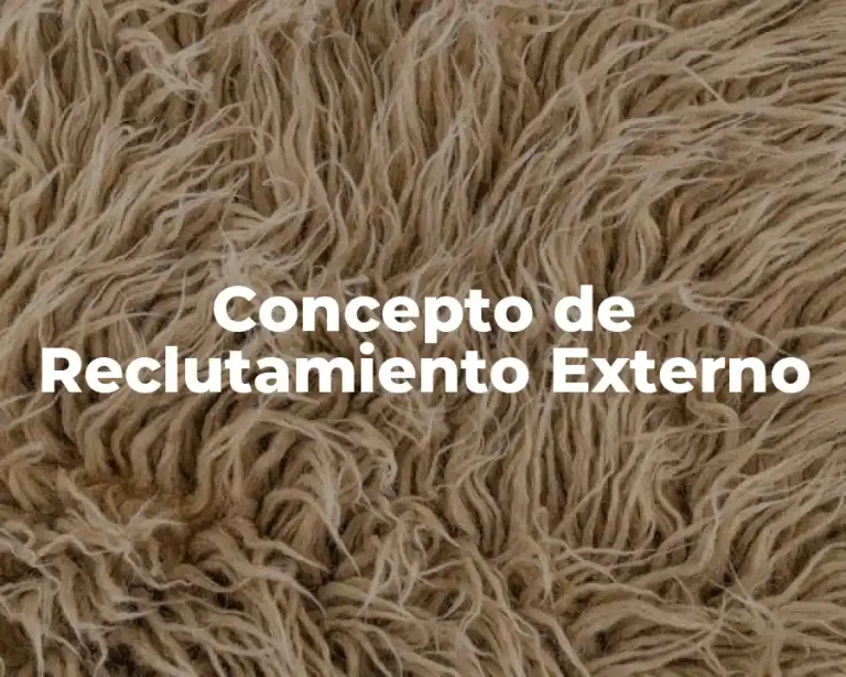 Concepto de Reclutamiento Externo