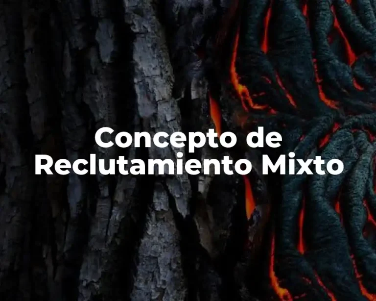 Concepto de Reclutamiento Mixto