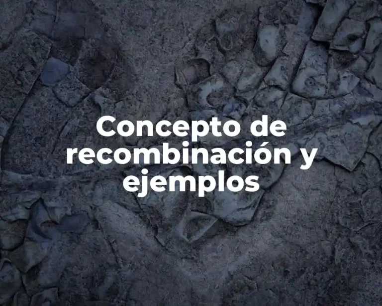 Concepto de recombinación y ejemplos