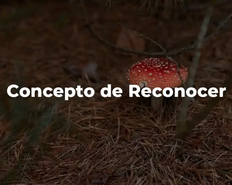 Concepto de Reconocer