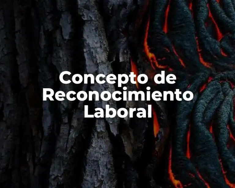 Concepto de Reconocimiento Laboral