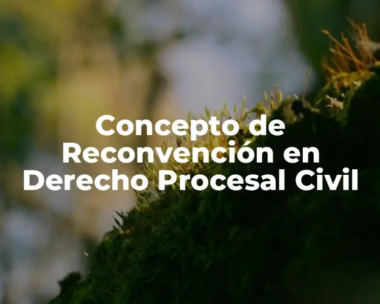 Concepto de Reconvención en Derecho Procesal Civil