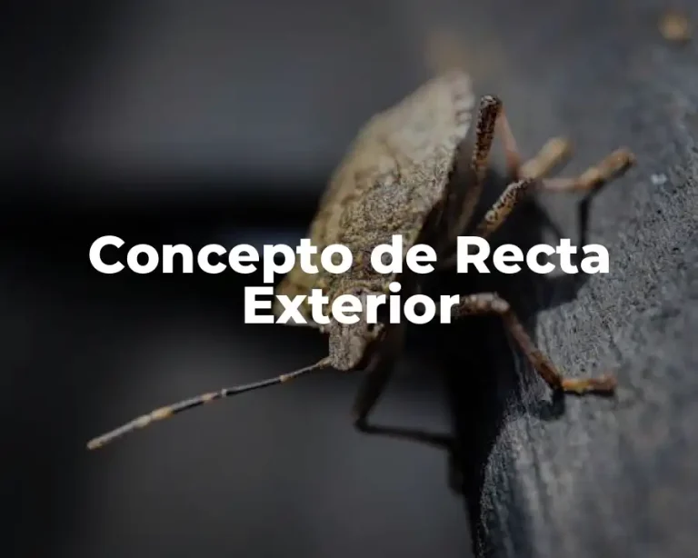 Concepto de Recta Exterior