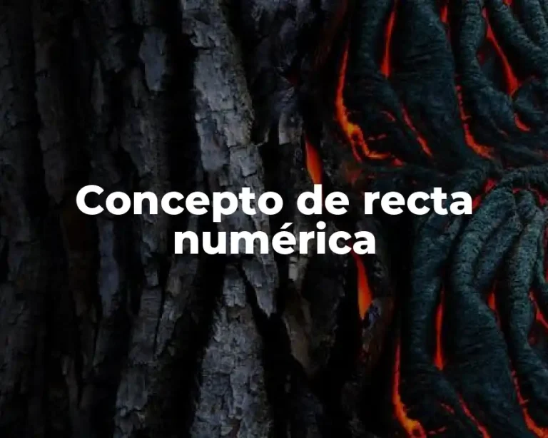 Concepto de recta numérica