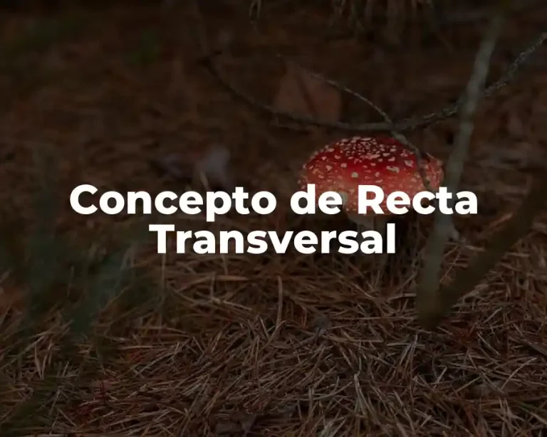 Concepto de Recta Transversal