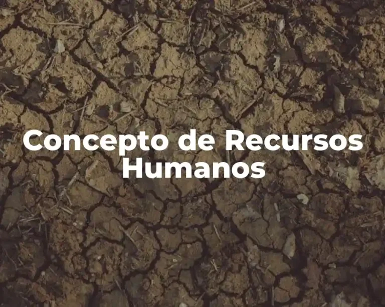 Concepto de Recursos Humanos