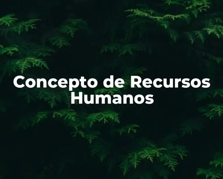 Concepto de Recursos Humanos