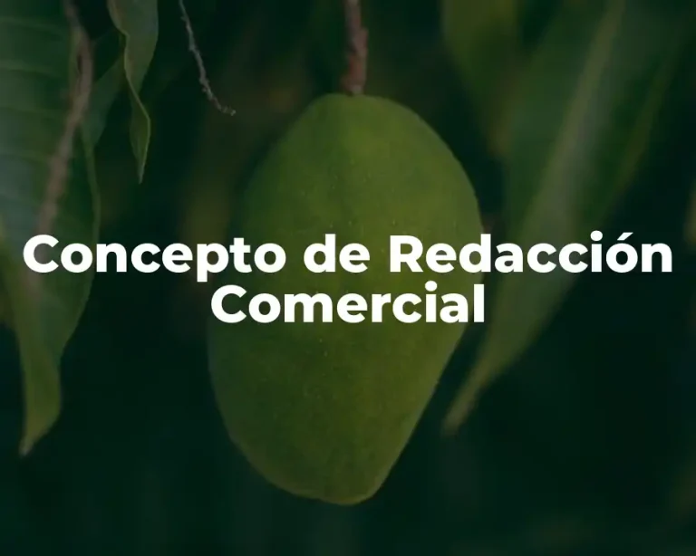 Concepto de Redacción Comercial