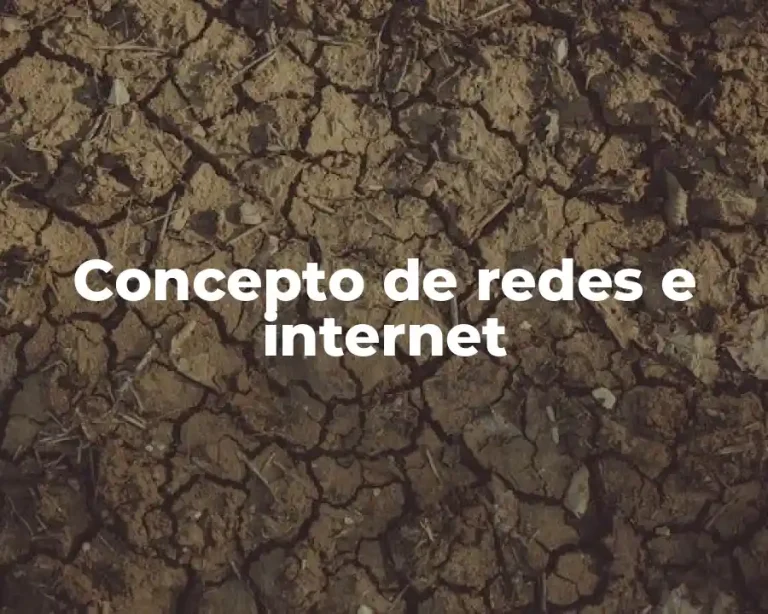 Concepto de redes e internet