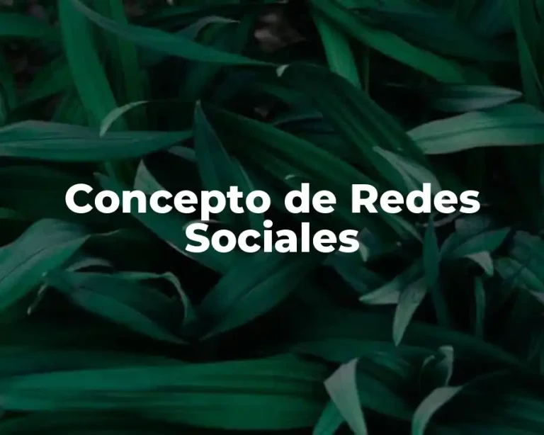 Concepto de Redes Sociales