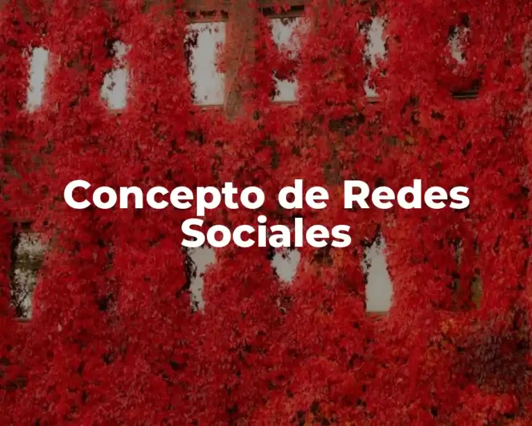Concepto de Redes Sociales