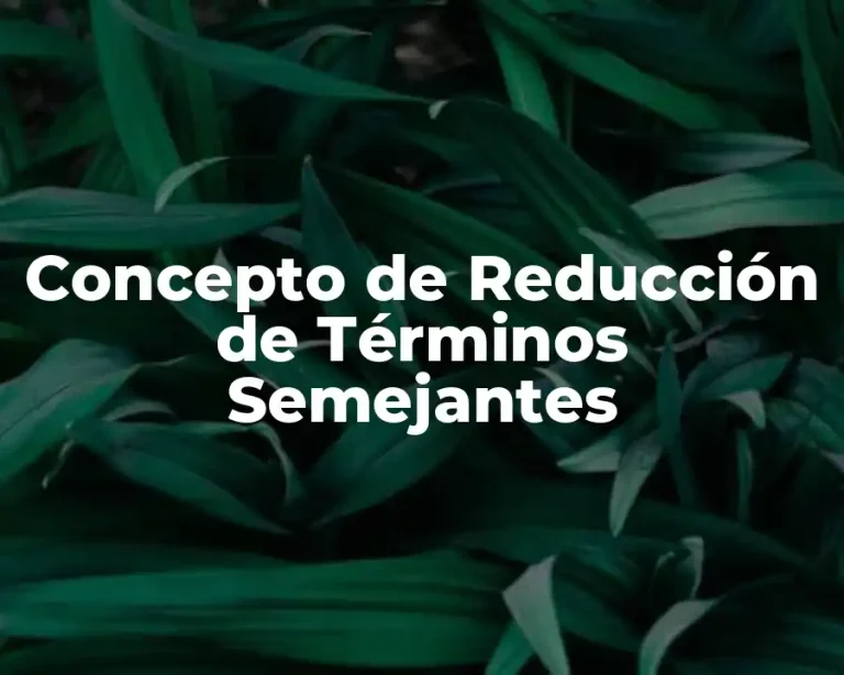 Concepto de Reducción de Términos Semejantes