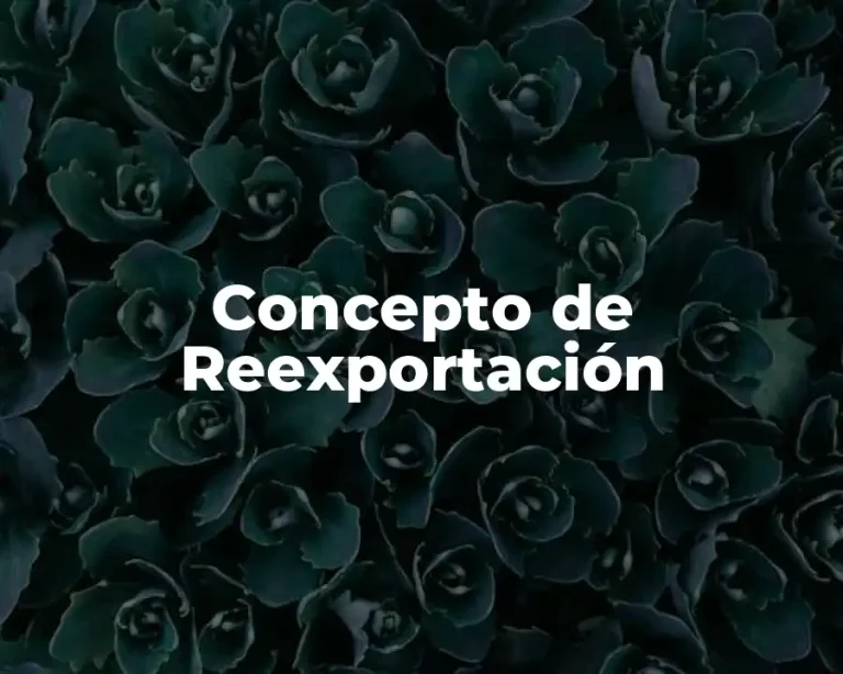 Concepto de Reexportación