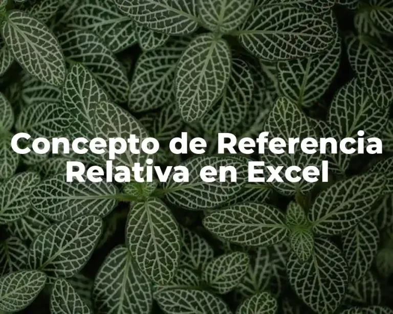 Concepto de Referencia Relativa en Excel