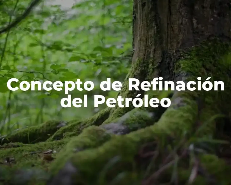 Concepto de Refinación del Petróleo