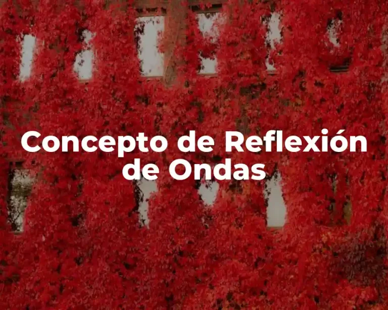 Concepto de Reflexión de Ondas