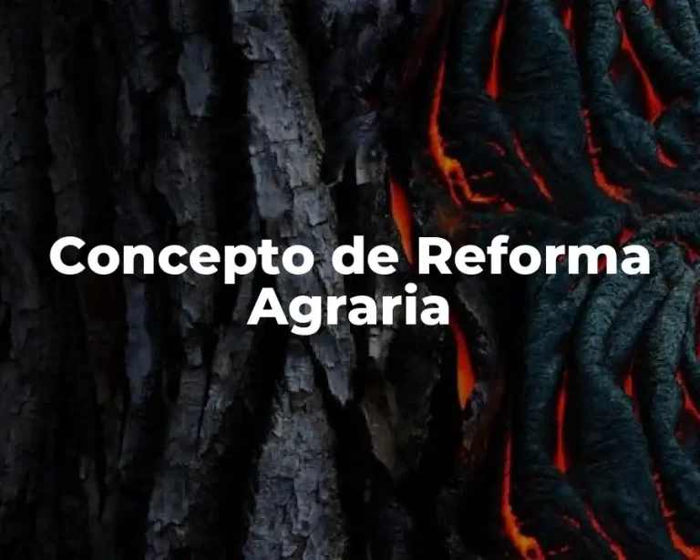 Concepto de Reforma Agraria