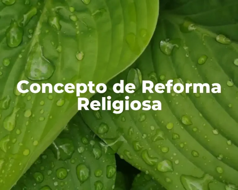 Concepto de Reforma Religiosa